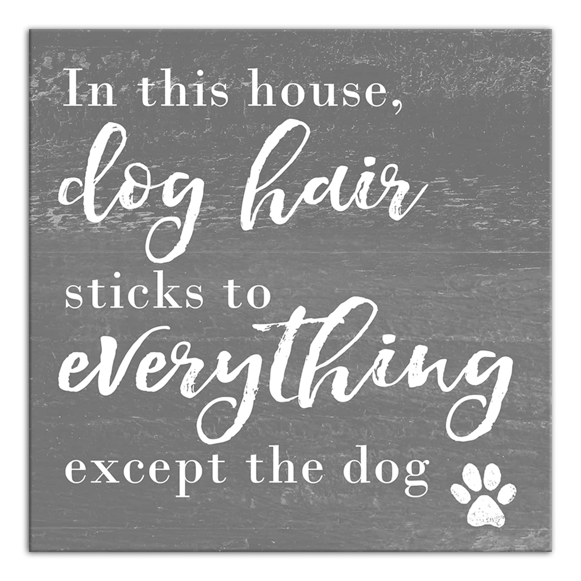 Dog Hair Canvas Wall Art